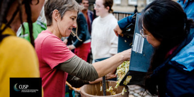 Les célébrations de l'arbre de lumière |  Blog de Malaika Cunningham
