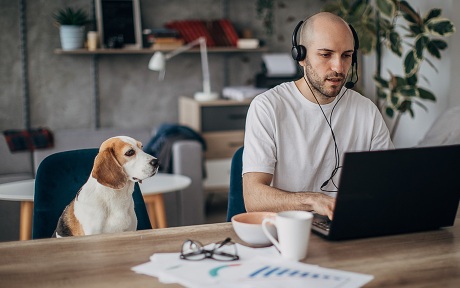 Image décorative : homme travaillant sur un ordinateur portable à la maison avec un chien assis à côté de lui