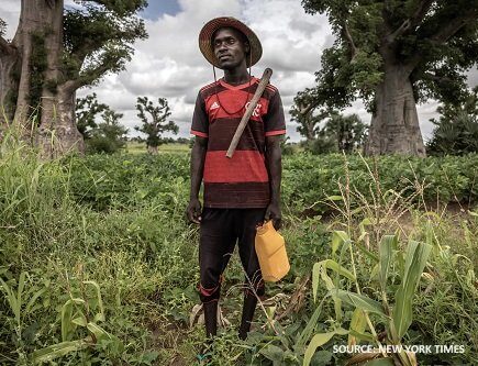 Les banques alimentaires se propagent dans les pays les plus riches, la faim se propage dans les pays les plus pauvres, alors que la crise des engrais en Europe se poursuit – La chimie et l'économie