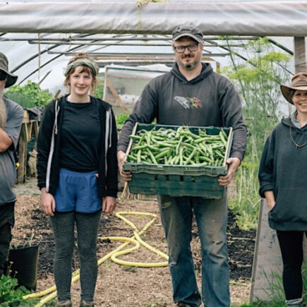 Entreprises sociales + systèmes alimentaires |  Série d'ateliers de mise à l'échelle, 31 janvier