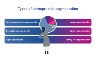 Graphique montrant les types de segmentation démographique