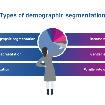 Graphique montrant les types de segmentation démographique