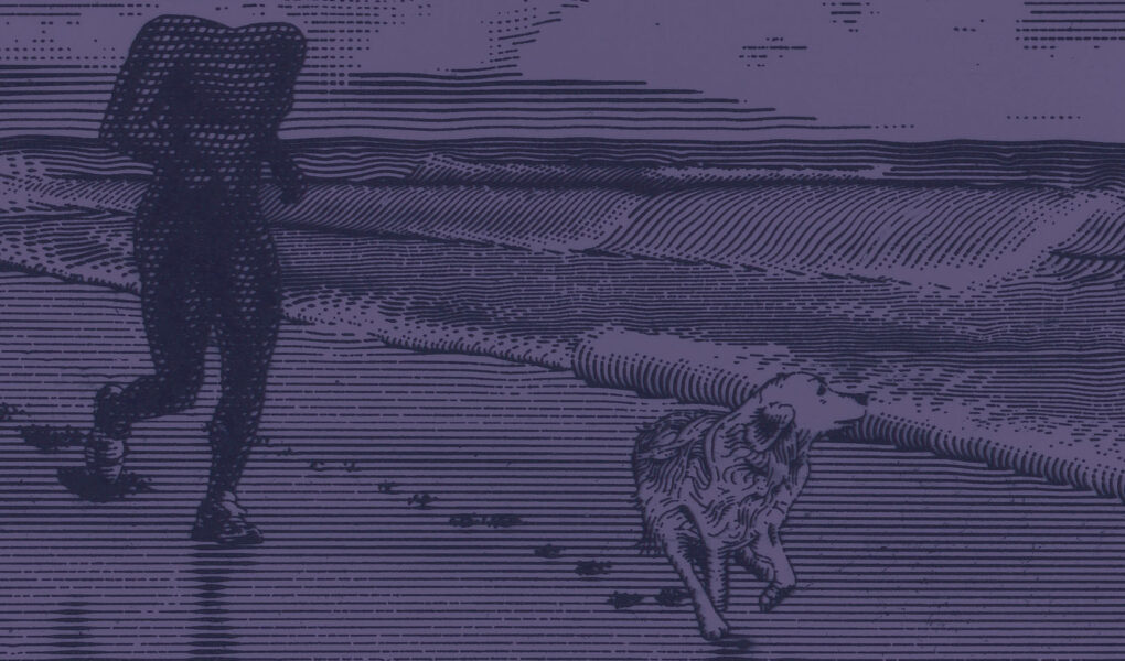 Le capitalisme clickbait – ou le retour à l’économie politique libidinale