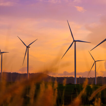 Lettre ouverte sur l'avenir fabriqué en Australie