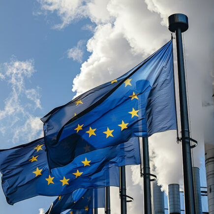 The launch of the EU ETS marks a significant step towards achieving Europe's climate goals and fostering a sustainable future.