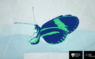 Nature-Positive Investment : une opportunité de pitch et de coaching pour les start-up