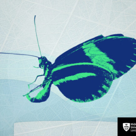 Nature-Positive Investment : une opportunité de pitch et de coaching pour les start-up