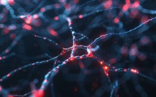 Au-delà de l'économie politique intersectionnelle - Progrès en économie politique (PPE)