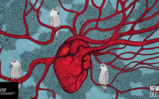 Sonner les changements | Bulletin CUSP, décembre 2024