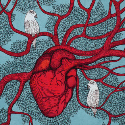 Sonner les changements | Bulletin CUSP, décembre 2024