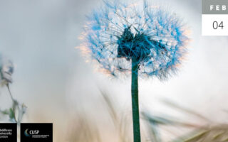 Horizons Green PME: lutter contre le financement pour les entreprises favorables à la nature