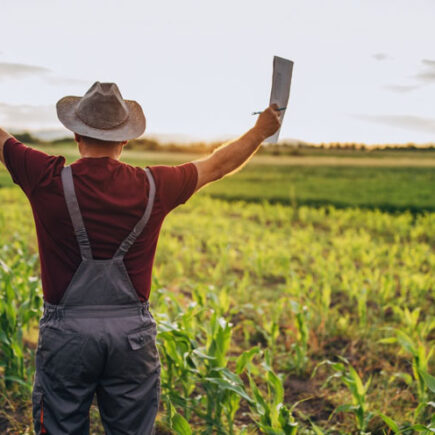 Des moyens coopératifs pour aider les agriculteurs à bénéficier de la restauration de la nature