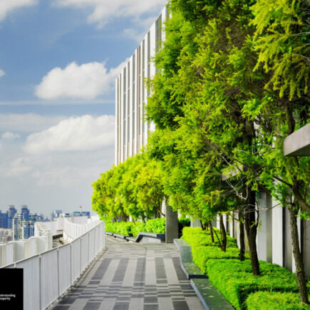 Villes plus vertes pour tous: créer des espaces urbains qui fonctionnent pour les personnes et la biodiversité