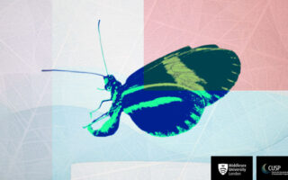 Du campus à la capitale: autonomiser les startups positives de la nature émergente