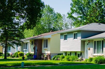 Photo: Panorama de petites maisons de banlieue ensoleillées dans une rue bordé d'arbres en été