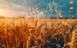 Classe et dépendance dans la culture du socialisme