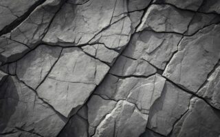 L'état de la révolution