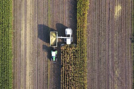Une approche multiscalaire de la souveraineté alimentaire : l’ALBA et l’État