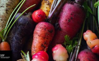 Action pour transformer les systèmes alimentaires britanniques : des innovations pour une alternative