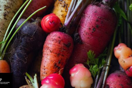 Action pour transformer les systèmes alimentaires britanniques : des innovations pour une alternative