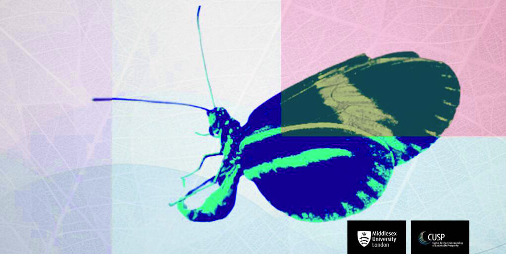 Financement de l’innovation positive pour la nature à un stade précoce au Royaume-Uni