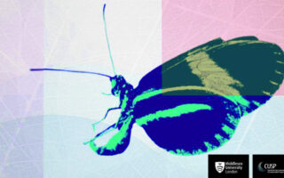 Financement de l’innovation positive pour la nature à un stade précoce au Royaume-Uni