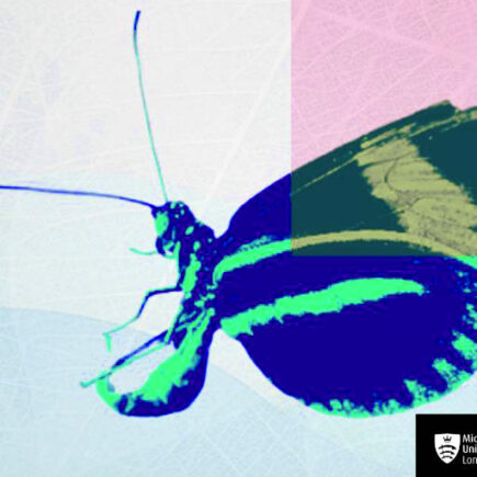 Financement de l’innovation positive pour la nature à un stade précoce au Royaume-Uni