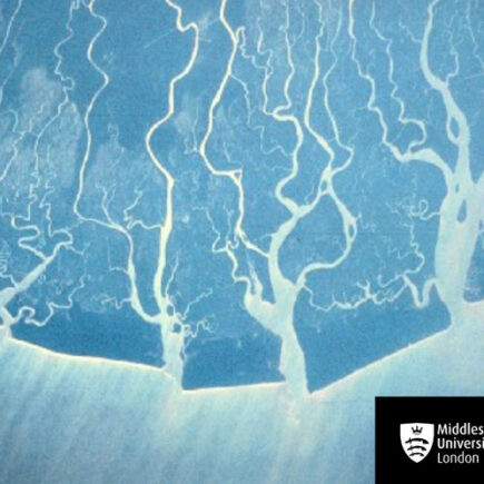 Accélérateur de startups et de scale-up Green Tech for Africa