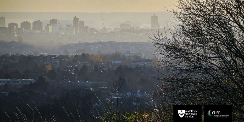 Transition verte des PME et compétences professionnelles à Londres | Rapports du programme d’économie verte du London Council