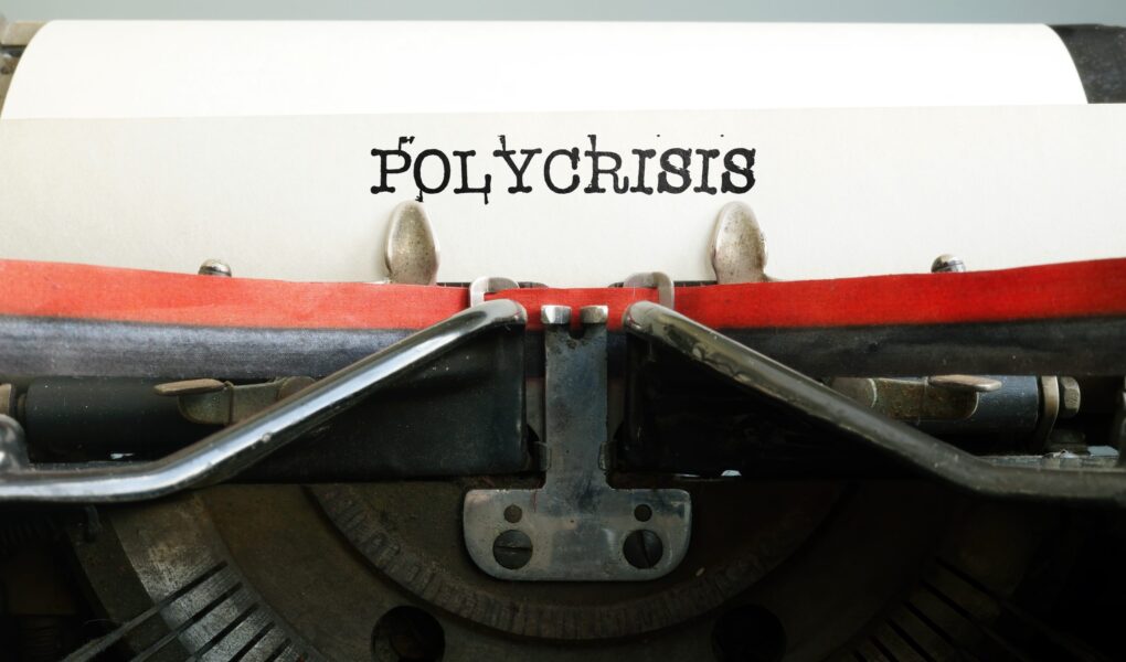 Disséquer la polycrise, tracer le terrain conceptuel de l'enquête