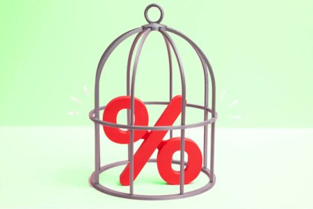 Illustration of a percent sign inside a bird cage.
