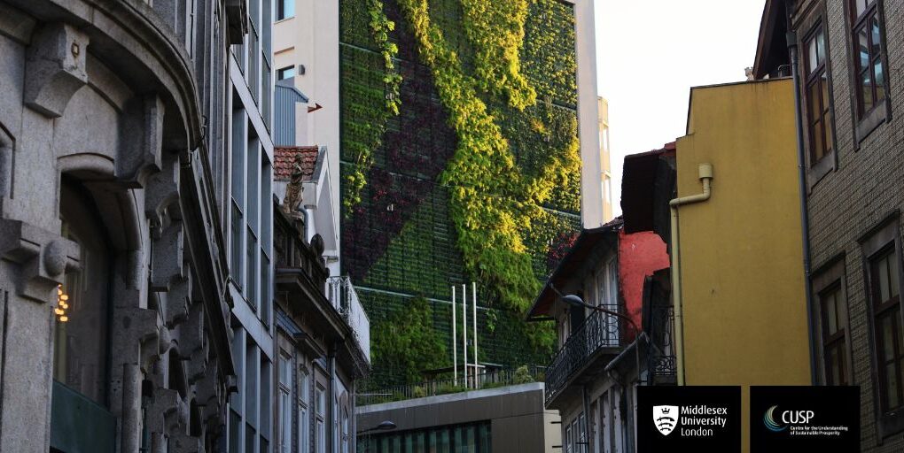 Comment les voies de financement des technologies vertes peuvent contribuer à atteindre les objectifs en matière de climat et de biodiversité | Blog de Robyn Owen et Meike Siefkes