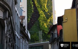 Comment les voies de financement des technologies vertes peuvent contribuer à atteindre les objectifs en matière de climat et de biodiversité | Blog de Robyn Owen et Meike Siefkes