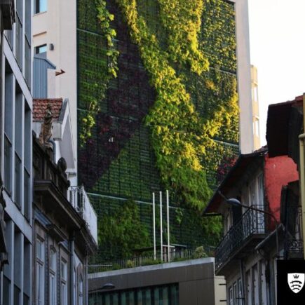 Comment les voies de financement des technologies vertes peuvent contribuer à atteindre les objectifs en matière de climat et de biodiversité | Blog de Robyn Owen et Meike Siefkes