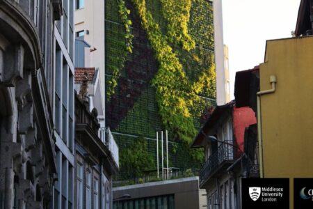 Comment les voies de financement des technologies vertes peuvent contribuer à atteindre les objectifs en matière de climat et de biodiversité | Blog de Robyn Owen et Meike Siefkes