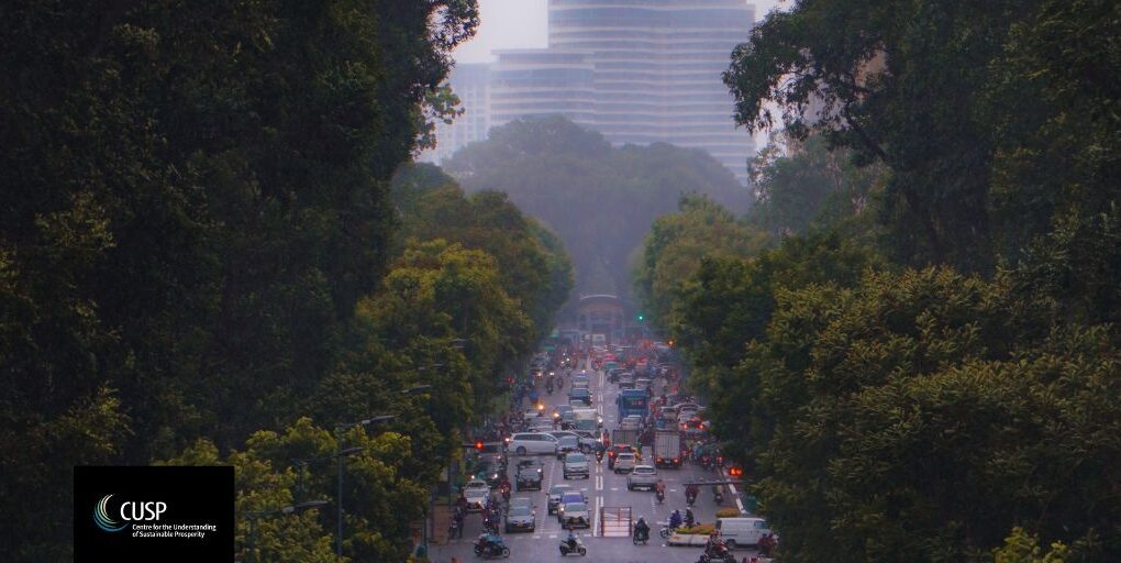 Définir la durabilité régénérative : principes et pratiques pour transformer les villes