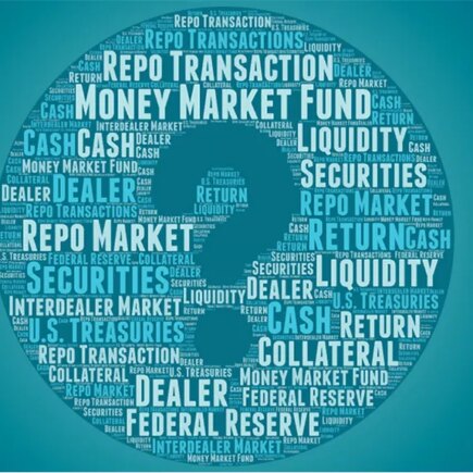 Illustration of a tag cloud in a circle with a large question mark. Some of the words are Federal Reserve, Dealer, Money Market Fund, Cash, Repo Market, Securities.