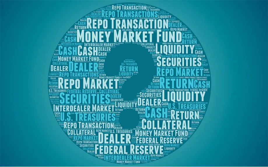 Illustration of a tag cloud in a circle with a large question mark. Some of the words are Federal Reserve, Dealer, Money Market Fund, Cash, Repo Market, Securities.