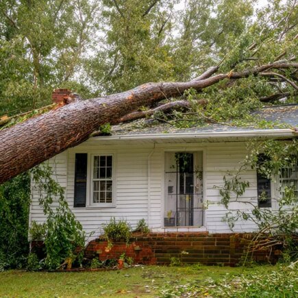 tree fallen on a small white house