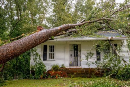tree fallen on a small white house