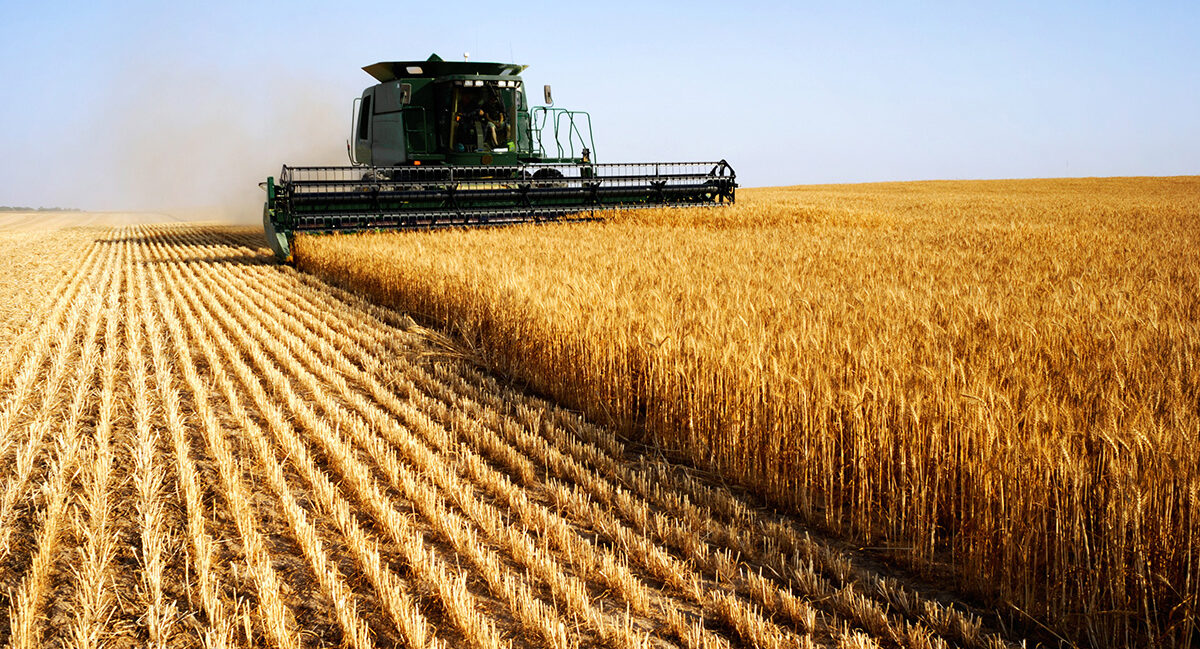 Comment les entreprises alimentaires utilisent l’IA pour améliorer leur rentabilité